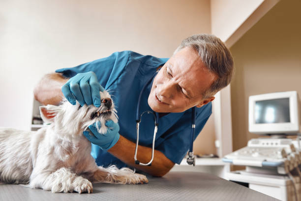  Burkburnett, TX Emergency Dentist Pros